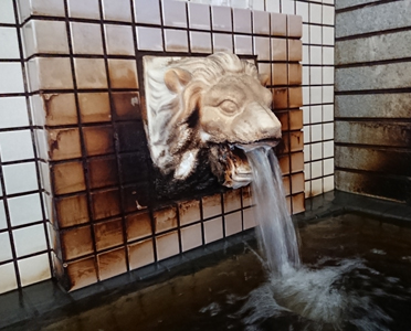 �k�C���̉���