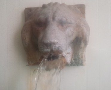 �k�C���̉���