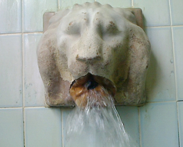 �k�C���̉���