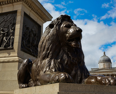 �k�C���̉���